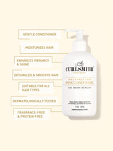 Curlsmith Shine Conditioner